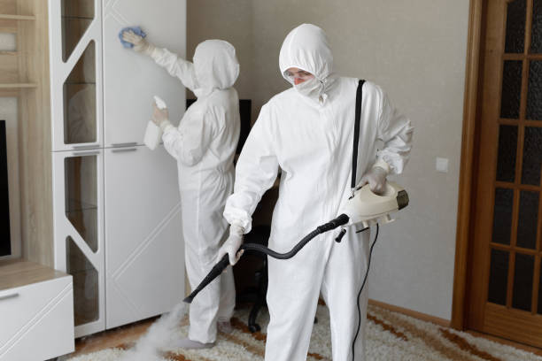 24/7 Emergency Odor Removal experts in Fairview, TX