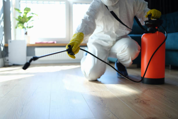 Reliable Odor Removal contractor in Fairview, TX by Trauma Clean Pros